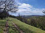 IMG_20260406_111843
