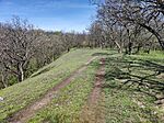 IMG_20260406_111851