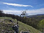 IMG_20260406_113030