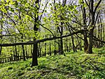 IMG_20260406_105147