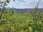 IMG_20260418_120315