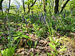 IMG_20260418_120920