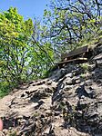 IMG_20260418_122344