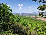 IMG_20260418_122447