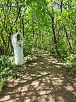 IMG_20260418_124951