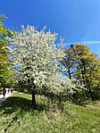 IMG_20260425_113906