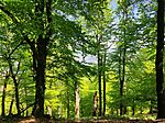 IMG_20260425_120624