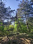 IMG_20260426_085004
