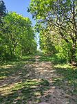 IMG_20260426_085515
