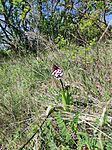 IMG_20260426_111949