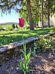 IMG_20260430_124718
