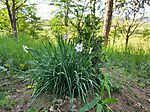 IMG_20260430_150211