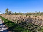 IMG_20260405_143355