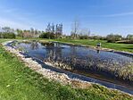 IMG_20260403_132245
