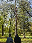 IMG_20260411_111637