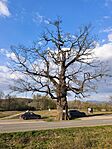 IMG_20260411_173252