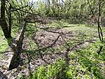 IMG_20260412_115503