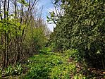 IMG_20260412_120237