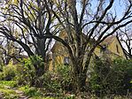 IMG_20260412_120323