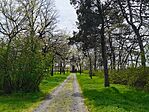 IMG_20260412_130723
