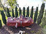 IMG_20260412_163557