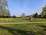 IMG_20260412_163450