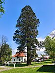 IMG_20260421_140906