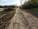 IMG_20260421_184108