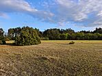 IMG_20260421_183948