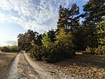 IMG_20260421_183957