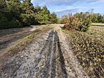 IMG_20260421_184102