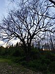 IMG_20260421_194225