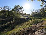 IMG_20260422_174848