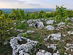 IMG_20260422_180849