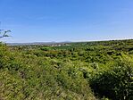 IMG_20260426_101937