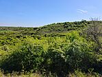 IMG_20260426_101932