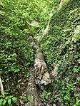 IMG_20260426_133855