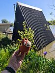 IMG_20260426_155918