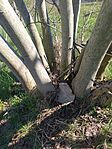 IMG_20260405_134532