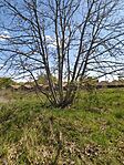 IMG_20260405_134828