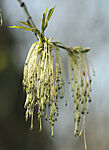 IMG_4916_1