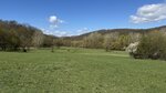 IMG_4144