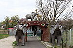 IMG_20260404_094625_5079