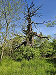 IMG_20260425_103038