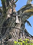 IMG_20260425_103112