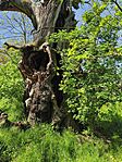 IMG_20260425_103242