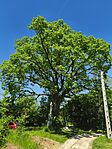 IMG_20260425_121846