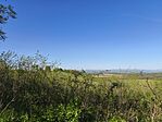 IMG_20260425_160842