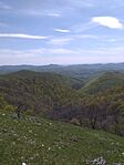 20260419_124639.jpg
