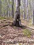 20260419_125916.jpg